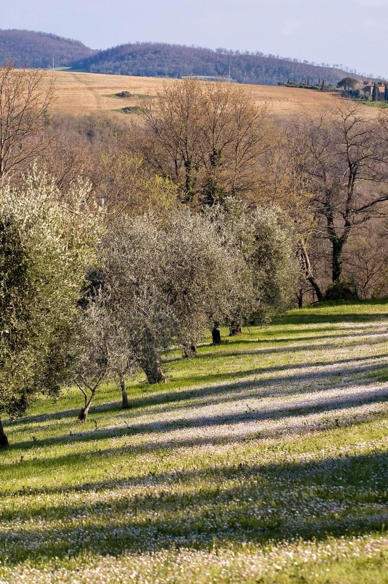 La Saracina Hotel Pienza Eksteriør billede