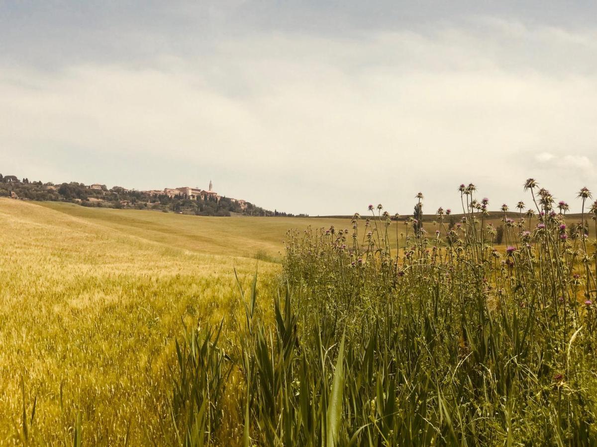 La Saracina Hotel Pienza Eksteriør billede